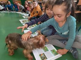 Zajęcia dogoterapii w przedszkolu